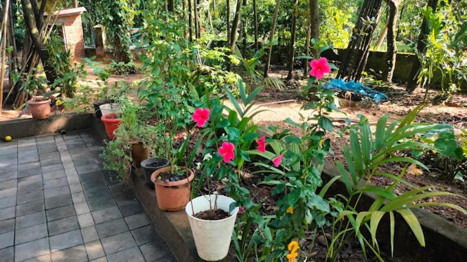 Sneh Beach Homestay - Wayangani Vengurla Экстерьер фото